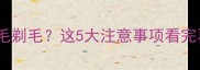 夏天给金毛剃毛这5大注意事项看完再动刀