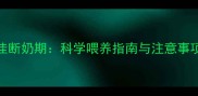 拉布拉多幼犬最佳断奶期科学喂养指南与注意事项附过渡期食谱