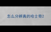 怎么分辨真的哈士奇