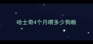 哈士奇4个月喂多少狗粮