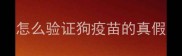 怎么验证狗疫苗的真假