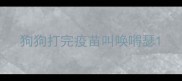 狗狗打完疫苗叫唤嘚瑟