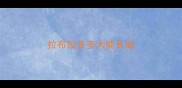 拉布拉多多大能长成