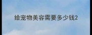 给宠物美容需要多少钱