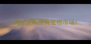 闵行区有没有宠物市场
