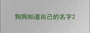狗狗知道自己的名字