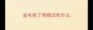 金毛除了狗粮还吃什么
