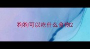 狗狗可以吃什么食物