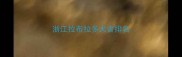 浙江拉布拉多犬舍排名