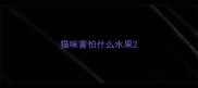 猫咪害怕什么水果