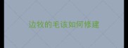 边牧的毛该如何修建