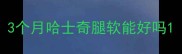 3个月哈士奇腿软能好吗