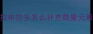 拉布拉多怎么补充微量元素