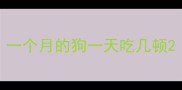 一个月的狗一天吃几顿