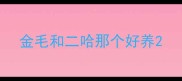金毛和二哈那个好养