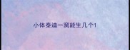 小体泰迪一窝能生几个