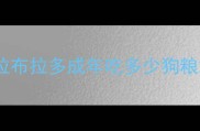 拉布拉多成年吃多少狗粮