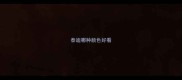 泰迪哪种颜色好看