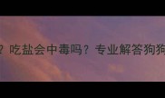 宠物狗能不能吃盐吃盐会中毒吗专业解答狗狗盐分摄入安全指南