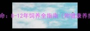 哈士奇寿命8-12年饲养全指南附健康养护秘籍