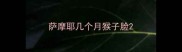 萨摩耶几个月猴子脸