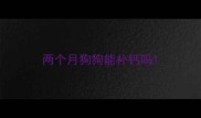 两个月狗狗能补钙吗