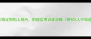 新手必看3步搞定狗狗上厕所附超实用训练攻略附90人不知道的避坑指南
