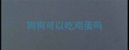 狗狗可以吃鸡蛋吗