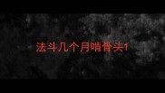 法斗几个月啃骨头