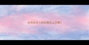 拉布拉多小狗拉稀怎么回事