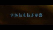 训练拉布拉多恭喜