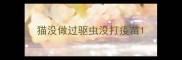 猫没做过驱虫没打疫苗