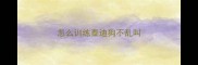 怎么训练泰迪狗不乱叫