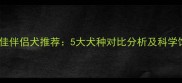 哈士奇最佳伴侣犬推荐5大犬种对比分析及科学饲养指南