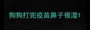 狗狗打完疫苗鼻子很湿