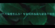 边牧10个月偏瘦怎么办专业饲养指南与紧急干预措施全