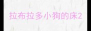 拉布拉多小狗的床