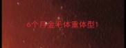 6个月金毛体重体型