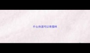 什么快递可以寄猫咪