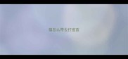 猫怎么带去打疫苗