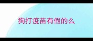 狗打疫苗有假的么