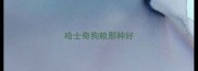 哈士奇狗粮那种好