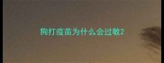 狗打疫苗为什么会过敏