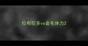 拉布拉多vs金毛体力