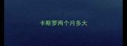 卡斯罗两个月多大