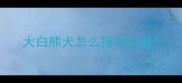 大白熊犬怎么接种疫苗