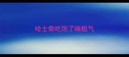 哈士奇吃饱了喘粗气