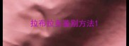 拉布拉多鉴别方法