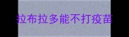 拉布拉多能不打疫苗