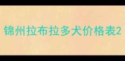 锦州拉布拉多犬价格表